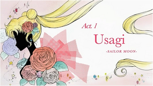 Acte 1 Usagi - Sailor Moon (épisode)